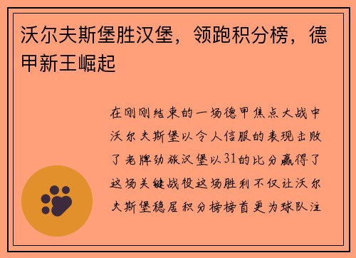 沃尔夫斯堡胜汉堡，领跑积分榜，德甲新王崛起